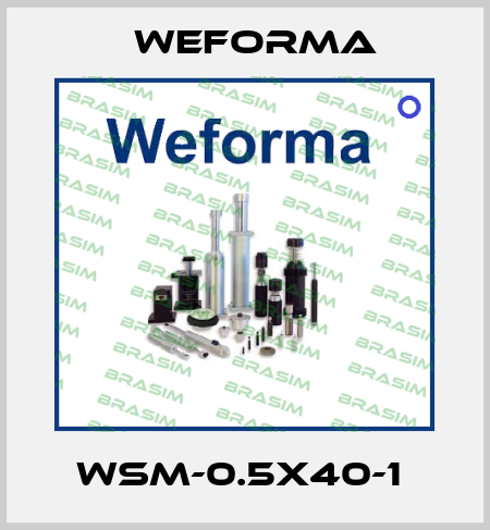 WSM-0.5X40-1  Weforma
