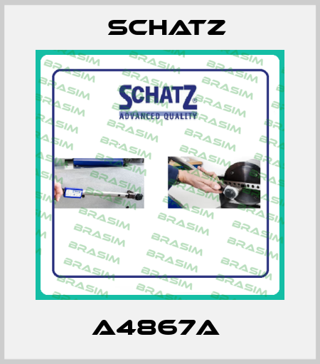 A4867A  Schatz