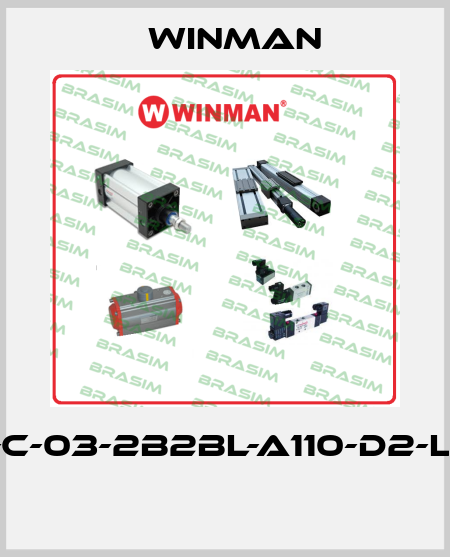 DF-C-03-2B2BL-A110-D2-L-35  Winman