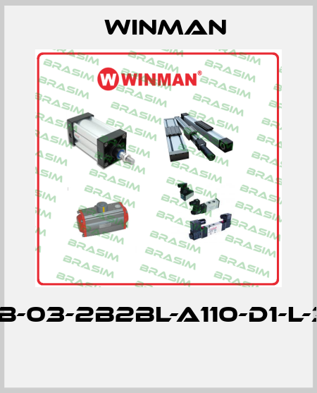 DF-B-03-2B2BL-A110-D1-L-35H  Winman