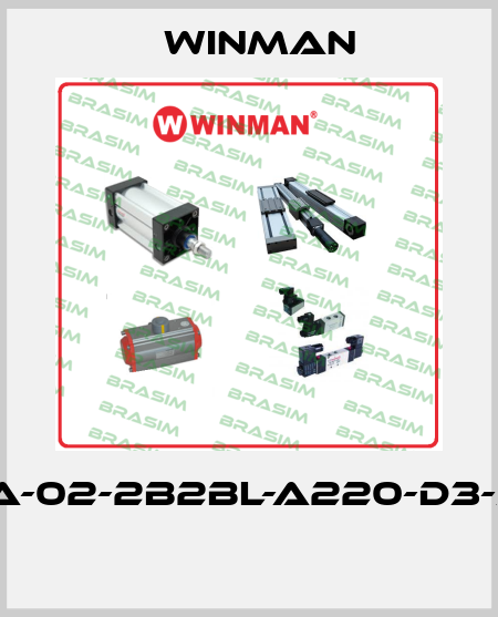 DF-A-02-2B2BL-A220-D3-35H  Winman