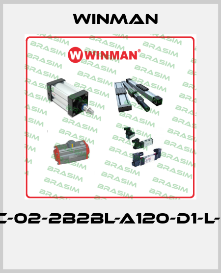 DF-C-02-2B2BL-A120-D1-L-35C  Winman