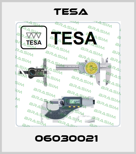 06030021  Tesa