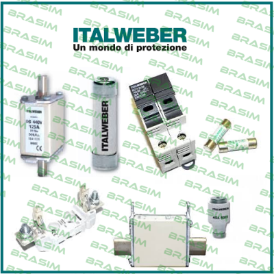 0106500  Italweber