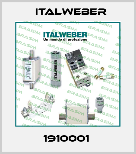 1910001  Italweber