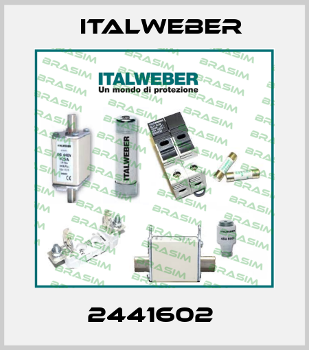 2441602  Italweber