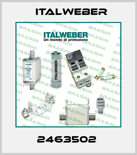 2463502  Italweber
