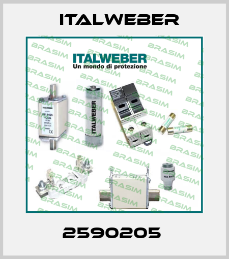 2590205  Italweber