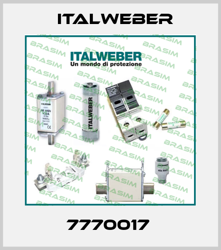 7770017  Italweber