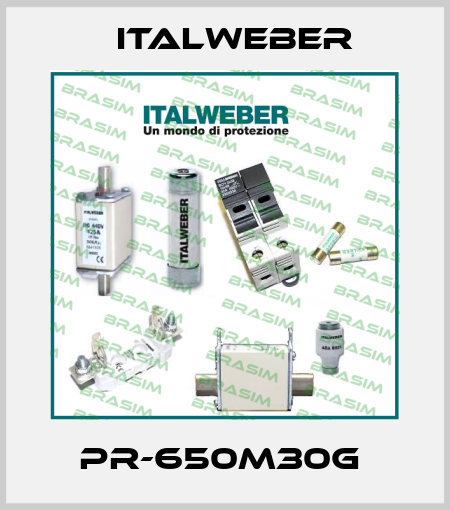 PR-650M30G  Italweber
