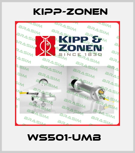 WS501-UMB   Kipp-Zonen