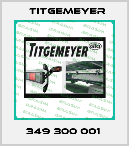349 300 001  Titgemeyer