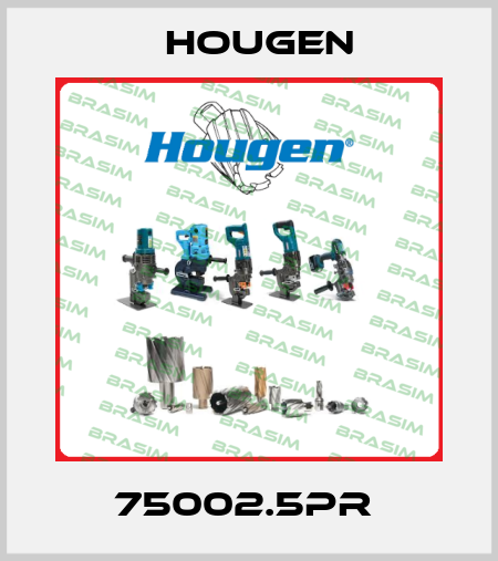 75002.5PR  Hougen