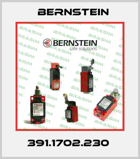 391.1702.230  Bernstein