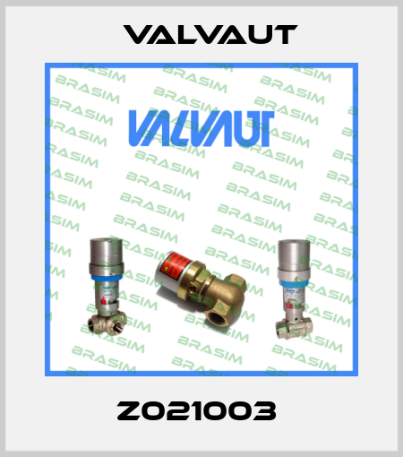 Z021003  Valvaut