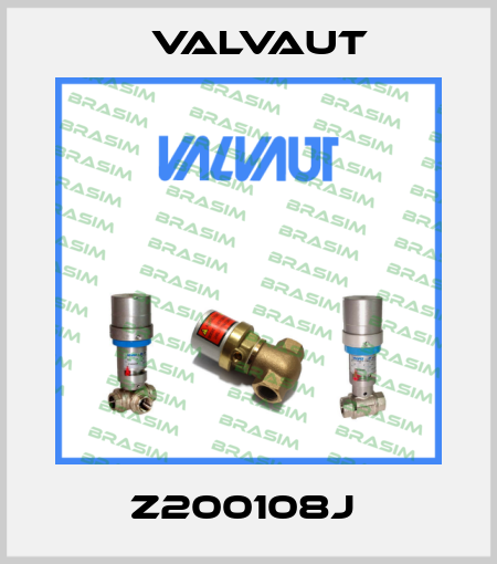Z200108j  Valvaut