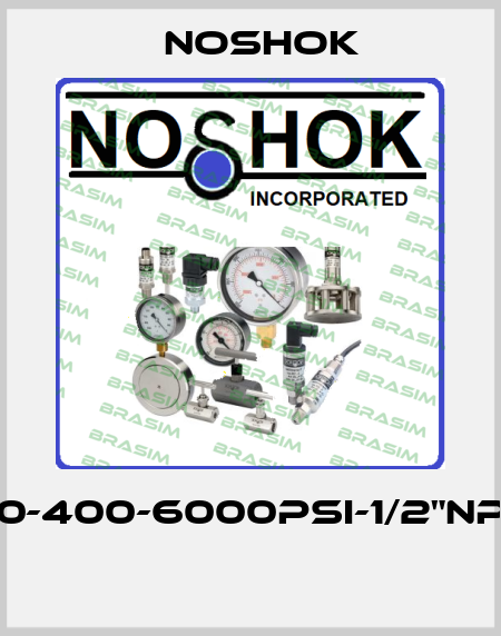 40-400-6000PSI-1/2"NPT  Noshok