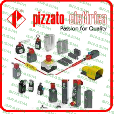 FS 3096D024-F Pizzato Elettrica