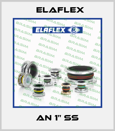 AN 1" SS Elaflex