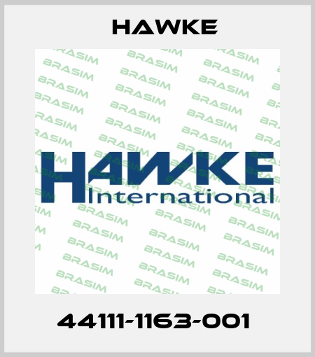 44111-1163-001  Hawke