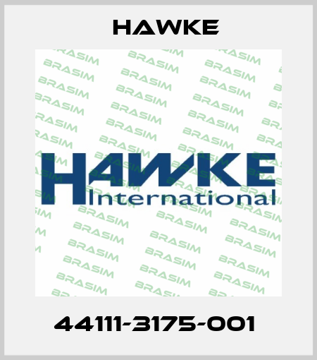 44111-3175-001  Hawke
