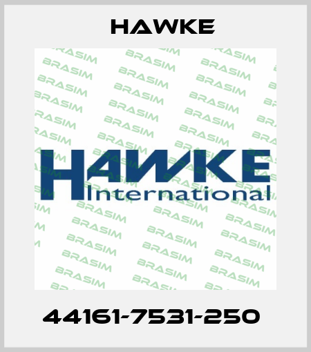 44161-7531-250  Hawke