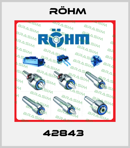 42843  Röhm