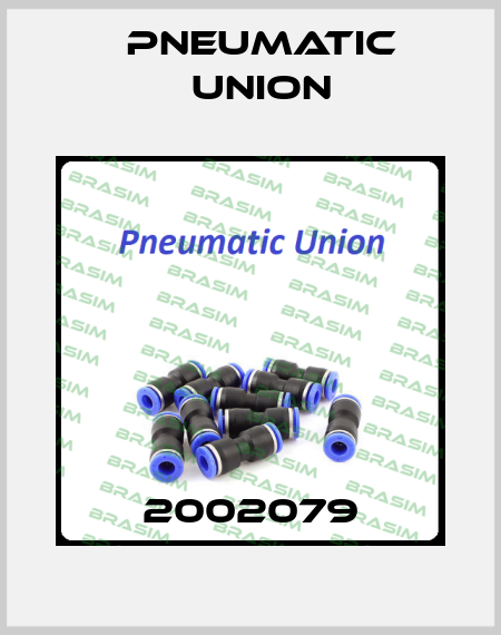 2002079 PNEUMATIC UNION