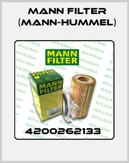 4200262133  Mann Filter (Mann-Hummel)