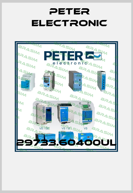 29733.60400UL  Peter Electronic