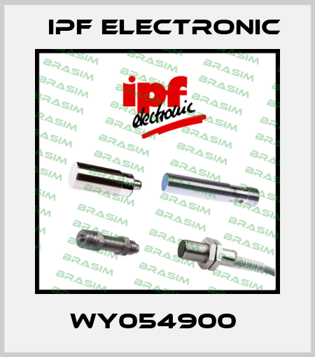 WY054900  IPF Electronic