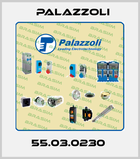 55.03.0230  Palazzoli