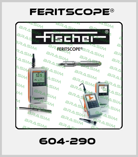 604-290  Feritscope®