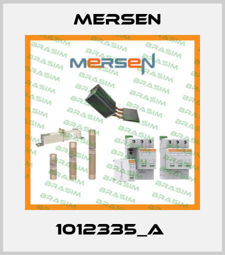 1012335_A  Mersen