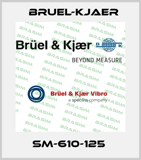 SM-610-125  Bruel-Kjaer
