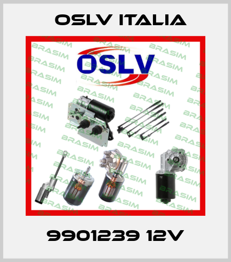 9901239 12V OSLV Italia