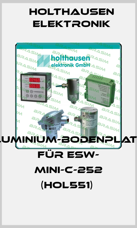 Aluminium-Bodenplatte für ESW- Mini-C-252 (hol551)  HOLTHAUSEN ELEKTRONIK