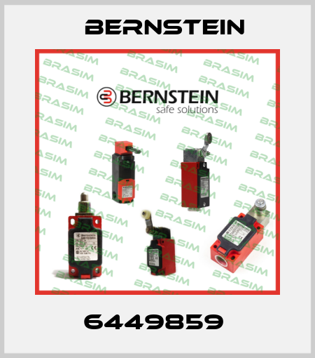 6449859  Bernstein