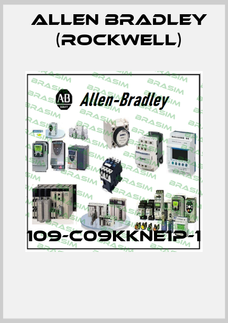 109-C09KKNE1P-1  Allen Bradley (Rockwell)
