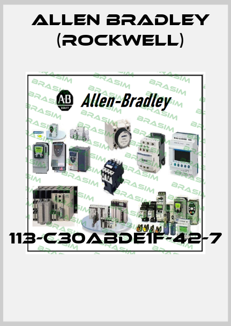 113-C30ABDE1F-42-7  Allen Bradley (Rockwell)