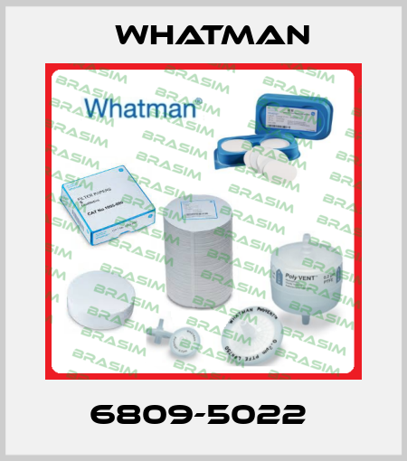 6809-5022  Whatman