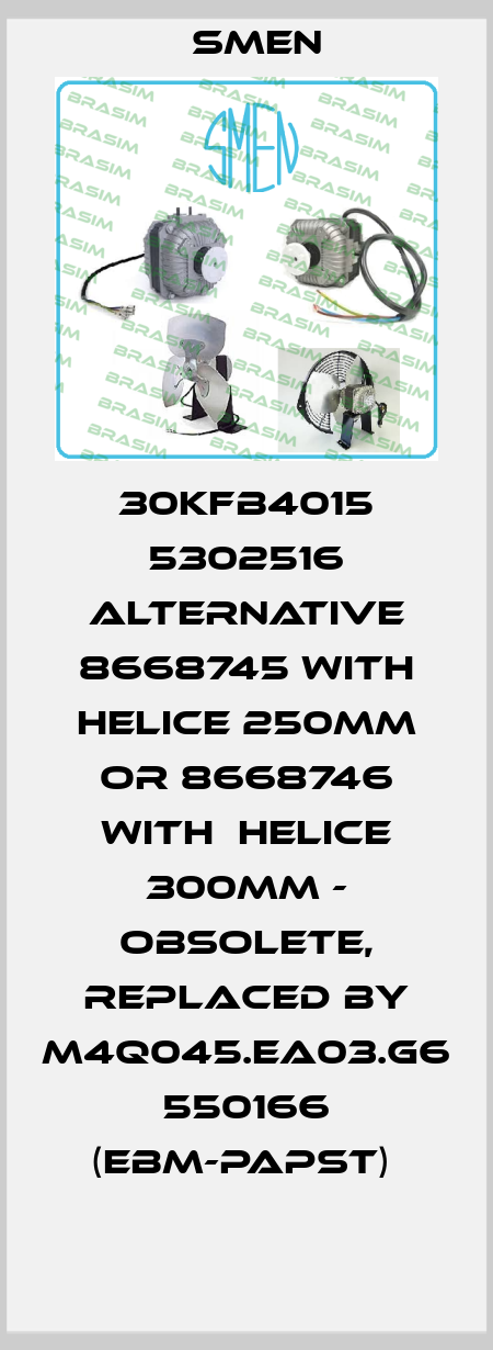 30KFB4015 5302516 alternative 8668745 with HELICE 250MM or 8668746 with  HELICE 300MM - obsolete, replaced by M4Q045.EA03.G6 550166 (ebm-papst)  Smen