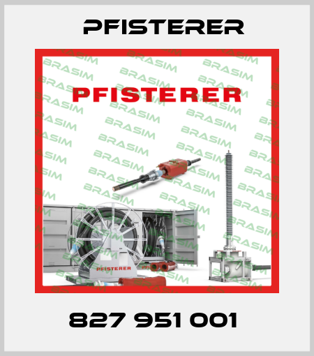 827 951 001  Pfisterer