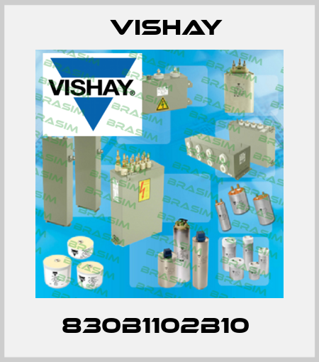 830B1102B10  Vishay