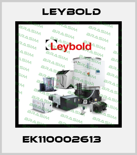 EK110002613     Leybold