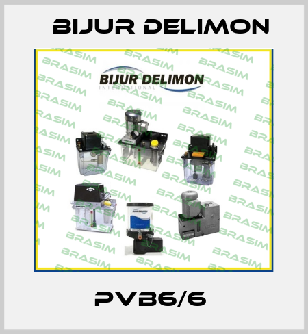PVB6/6  Bijur Delimon
