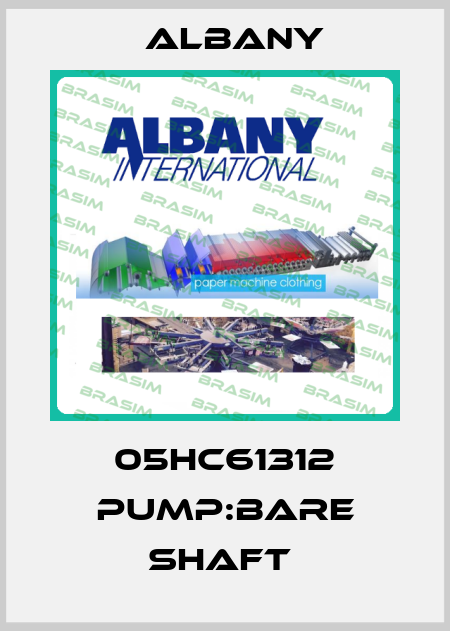 05HC61312 PUMP:BARE SHAFT  Albany