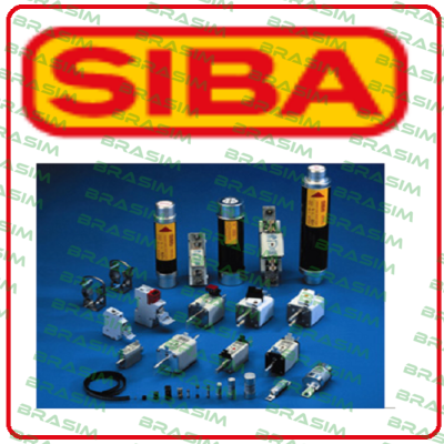 5006307.2 (1 Pack = 10 St.)  Siba