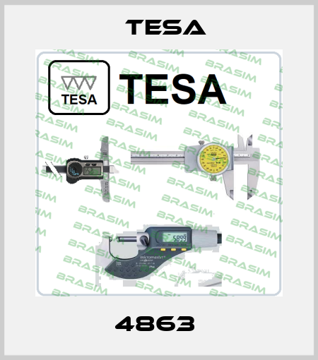 4863  Tesa