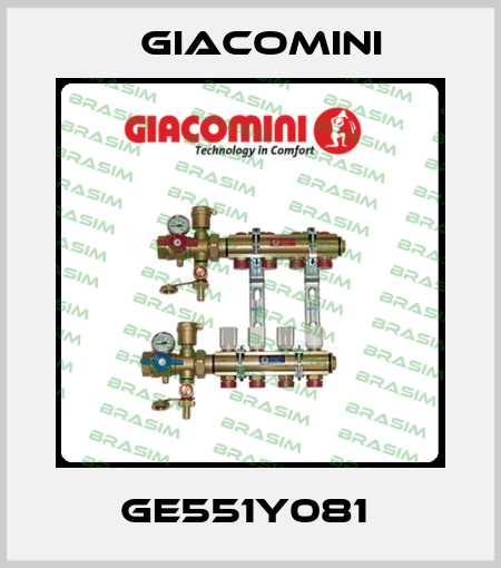 GE551Y081  Giacomini